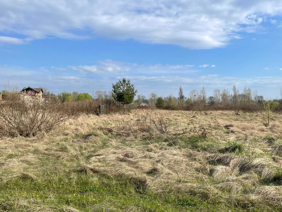Ексклюзивні ділянки на березі Десенки (затока Доманя) — Десн