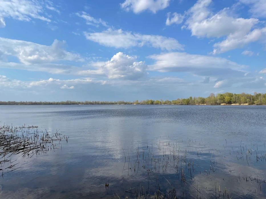 Ексклюзивні ділянки на березі Десенки (затока Доманя) — Десн