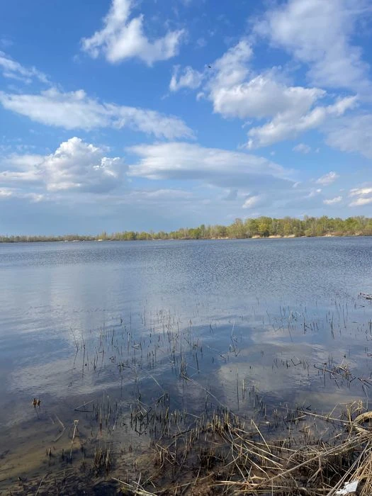 Ексклюзивні ділянки на березі Десенки (затока Доманя) — Десн
