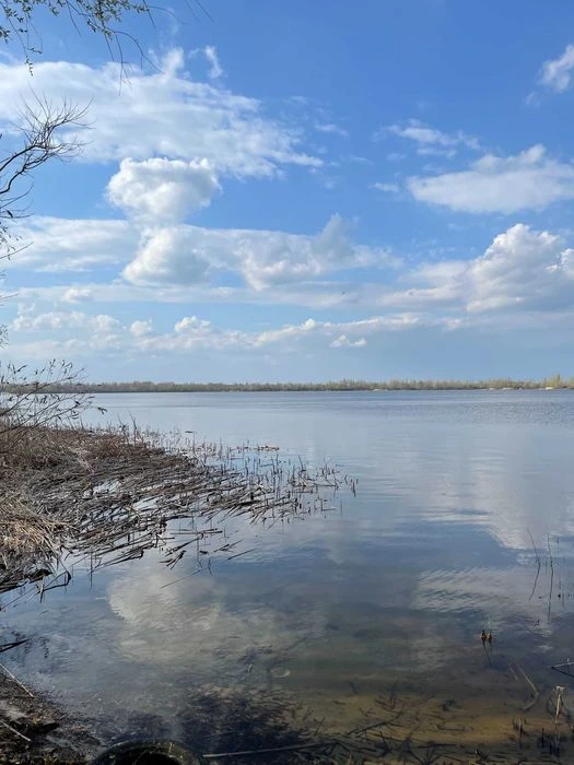 Ексклюзивні ділянки на березі Десенки (затока Доманя) — Десн