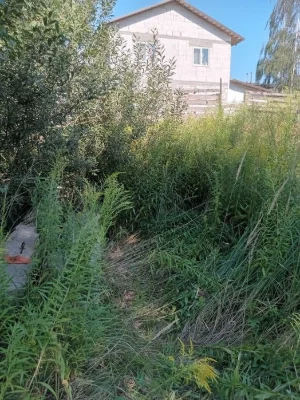 Повна ціна 18 тис. у.о. за весь. Продам участок у Києві (Жул