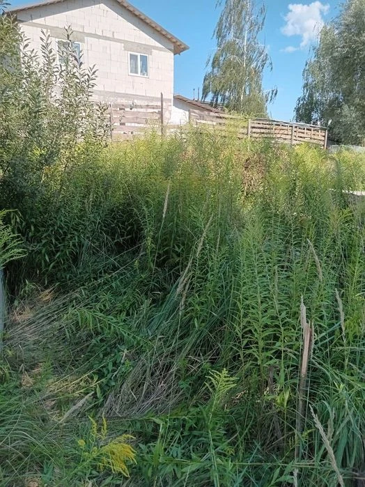 Повна ціна 18 тис. у.о. за весь. Продам участок у Києві (Жул