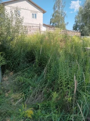 Повна ціна 18 тис. у.о. за весь. Продам участок у Києві (Жул