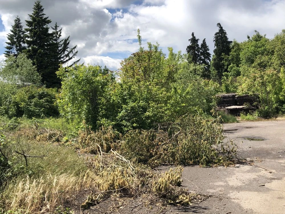 Широка фасадна ділянка в р-ні  вокзалу з комунікаціями