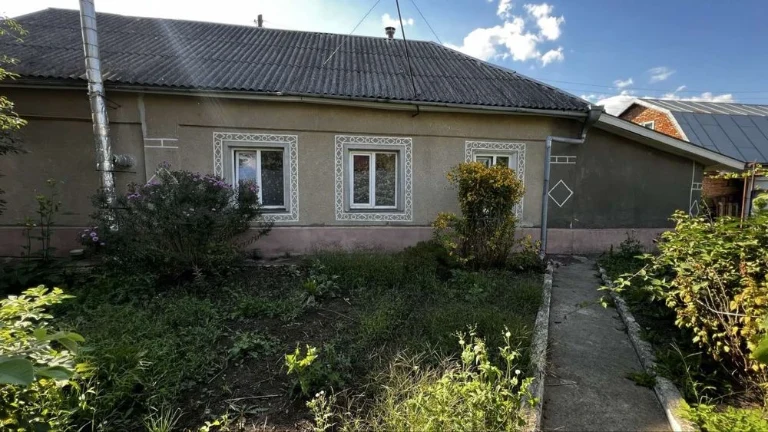Продаж будинку,Центр(5 хв до парку Франка)