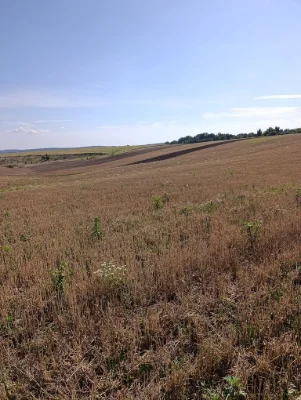 Земельна ділянка с. Стуфчинці