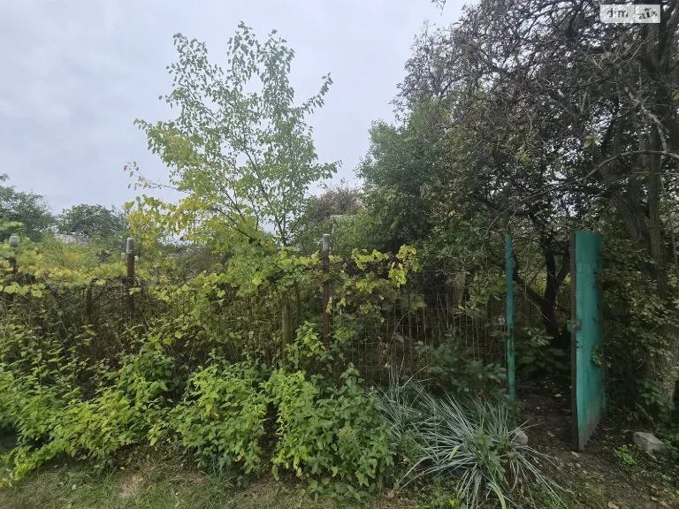 Продаж Земля сільськогосподарського призначення Соснівський