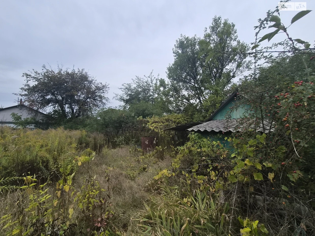 Продаж Земля сільськогосподарського призначення Соснівський