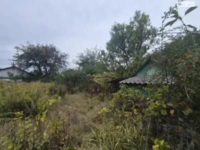 Продаж Земля сільськогосподарського призначення Соснівський