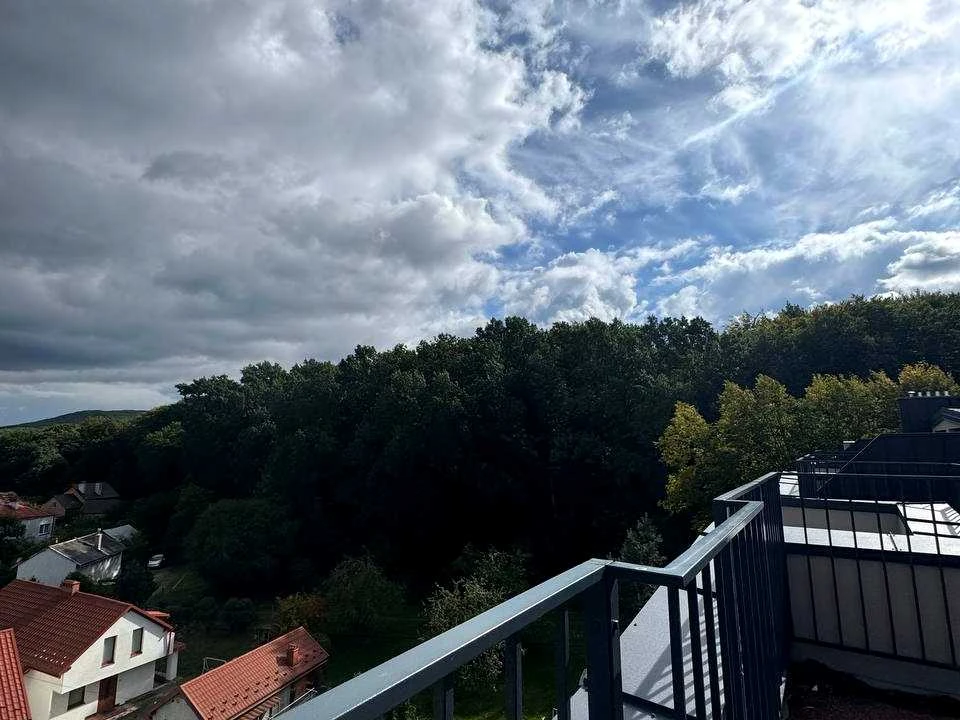 Квартира. Львів, Петра Лодія вул.