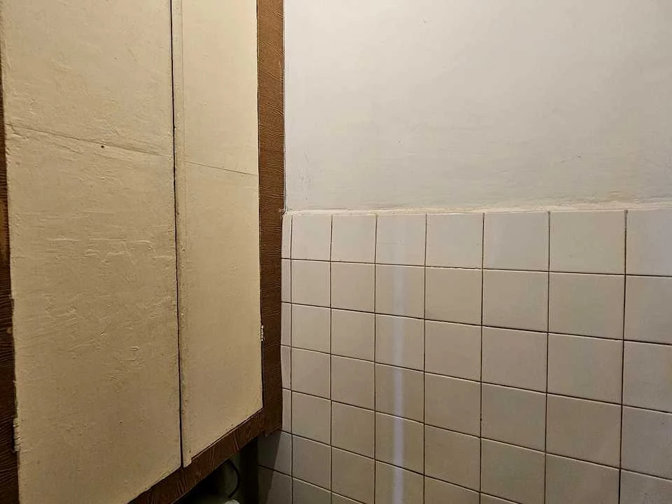 Apartment. Kyiv, Leonid Kadenyuk Ave. (Yuriy Gagarin)