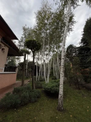 Статусная загородная резиденция | 270 м² + гостевой дом 100