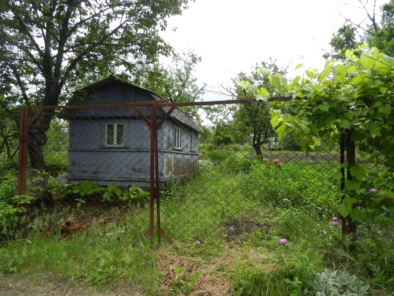 Продаж Дім