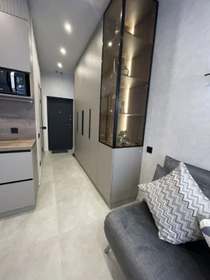 I will rent a 1-room apartment in the Atmosfera Arcadia residential complex
