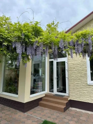 Продам дом 250к.м. , 7соток, АГВ, пер.Сиреньковый/ Рихтер