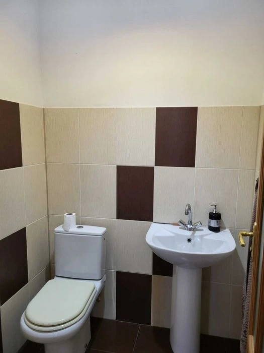 Продам дом 250к.м. , 7соток, АГВ, пер.Сиреньковый/ Рихтер