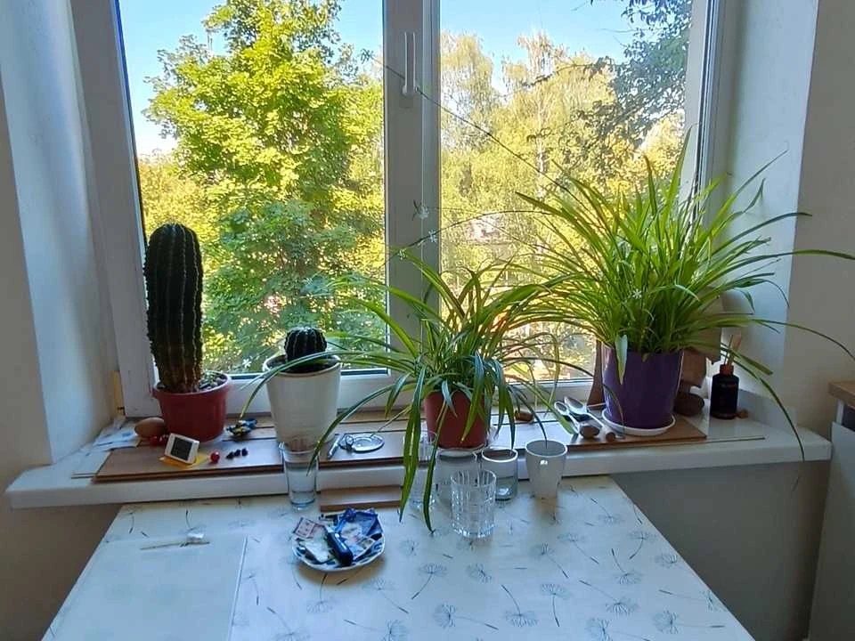 Apartment. Kharkiv, Gvardeytsiv-Shyronintsiv st.