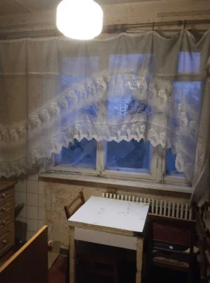 I will sell my 1-room apartment.