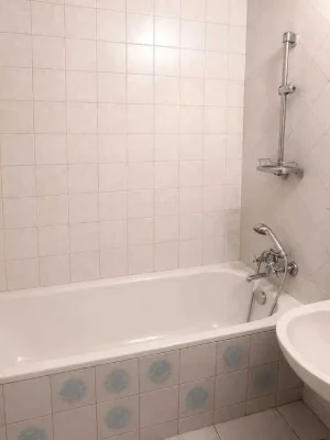 I will sell my 1-room apartment.