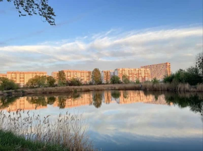 I am selling a stylish 1-room apartment in the residential complex “Ptychka”