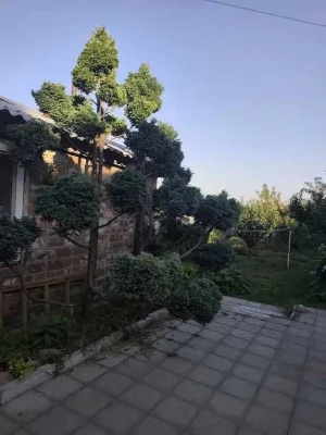 D1C Продам 1 квартиру  по адресу, ул. Озерянская