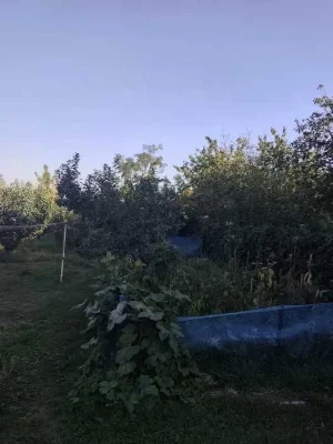 D1C Продам 1 квартиру  по адресу, ул. Озерянская