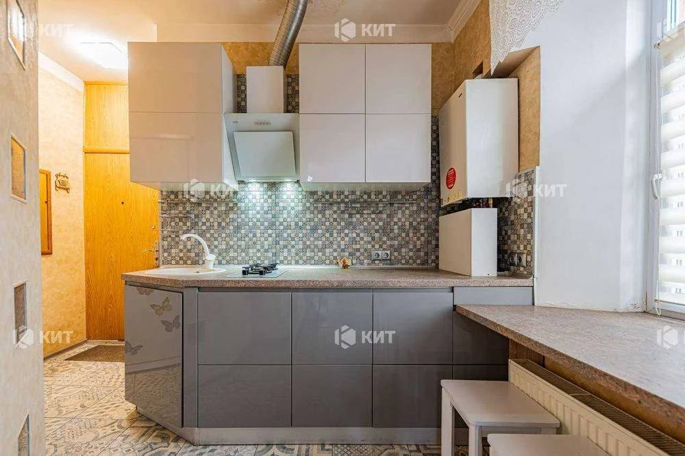 2к. 70м2 Центр (пер. Троицкий 10, м. Площадь Конституции) 12