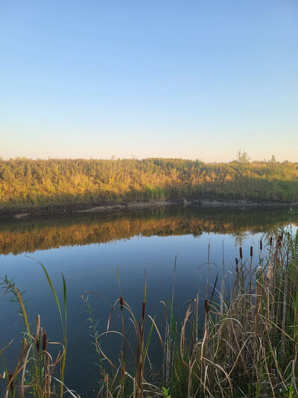 Продам земельну ділянку в найкращому місці біля лісу та озер