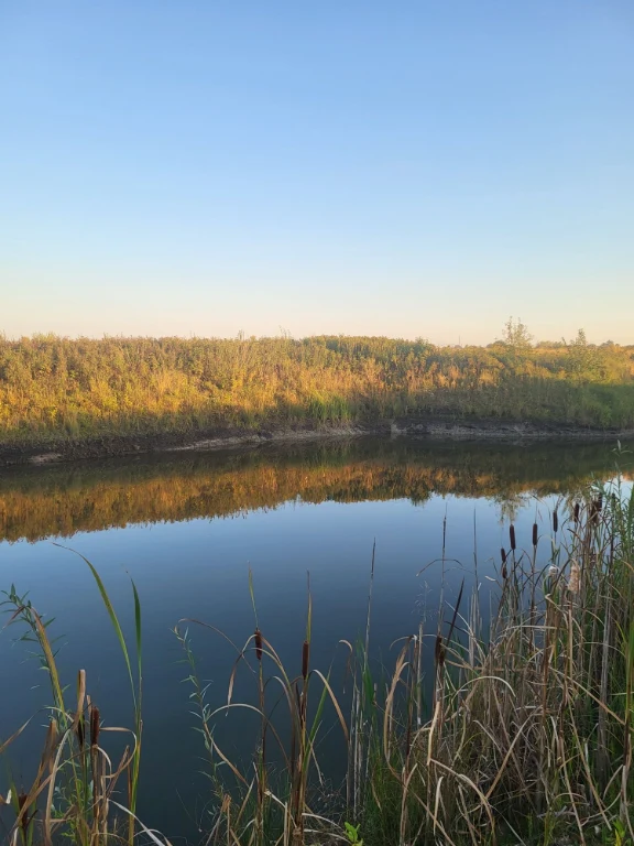 Продам земельну ділянку в найкращому місці біля лісу та озер