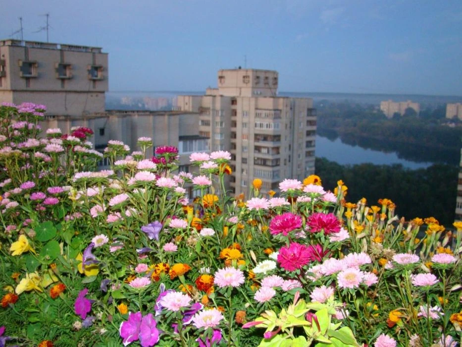 Дворівнева квартира (Пентхаус) в центрі міста