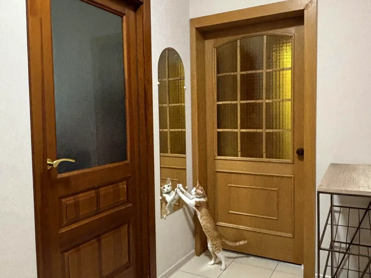 Продаж квартири 2-кімн. 51.1 м² 7/16 пов.