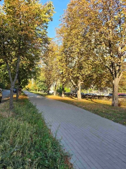 Продам 3х кім. квартиру, вул. Юлії Здановської, 29, Голосіїв