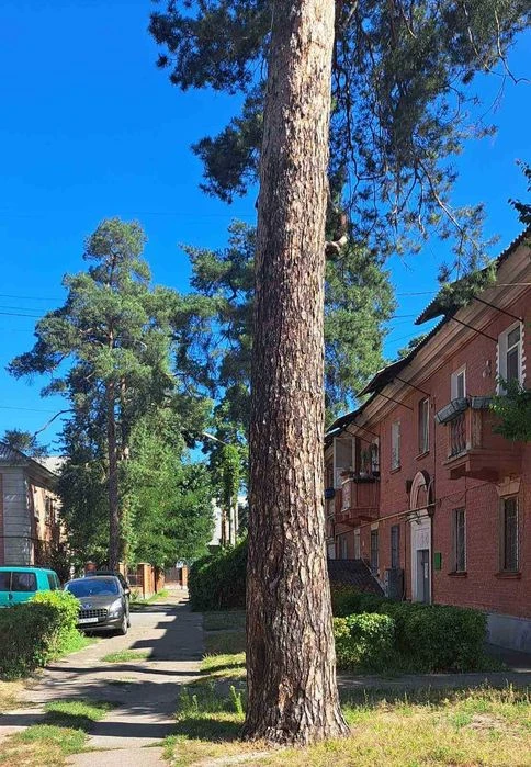 Without %. 1-room apartment for sale, Nadiyya Svitlichna 14/1