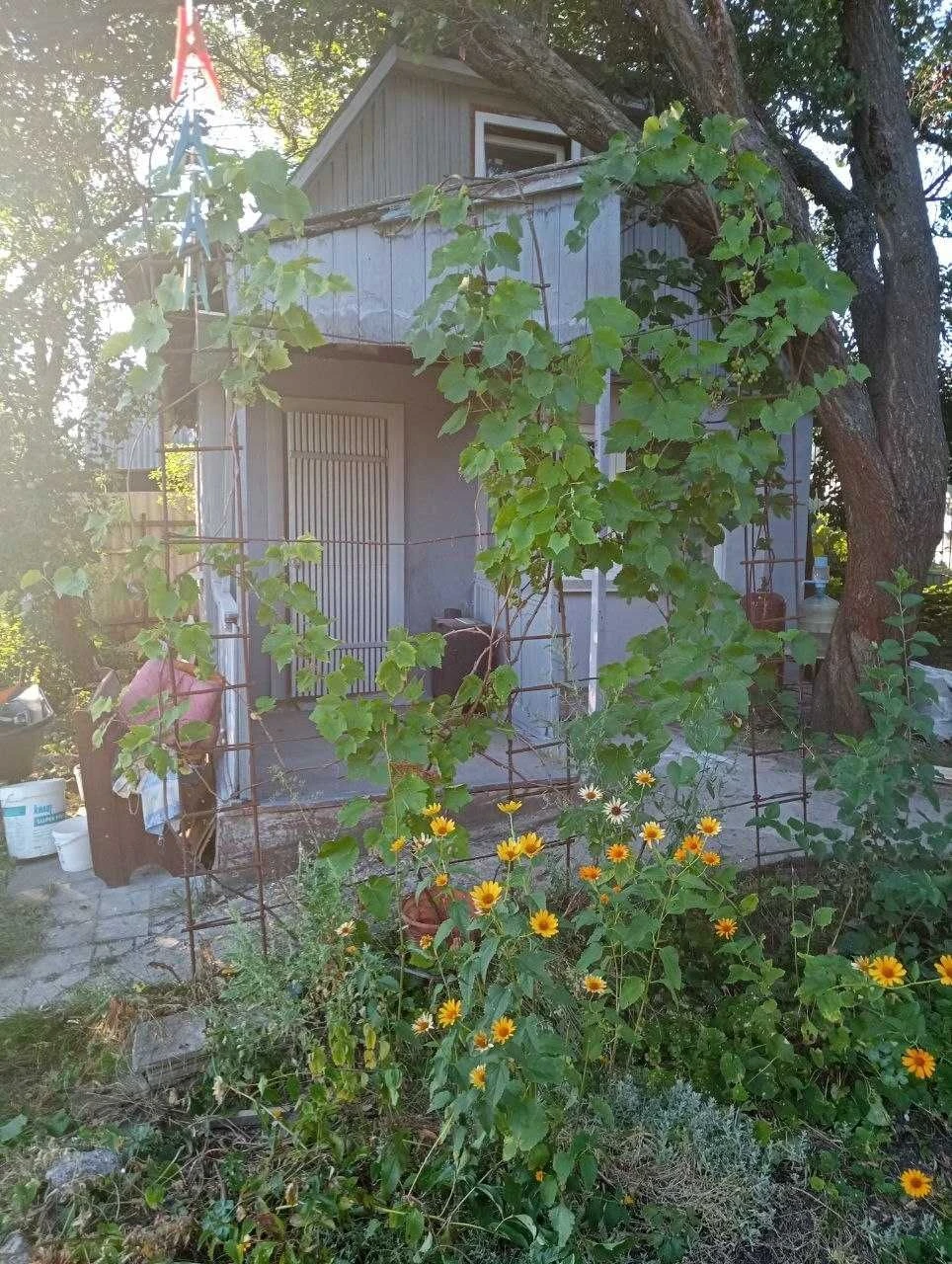 Продам будинок Кропивницкий