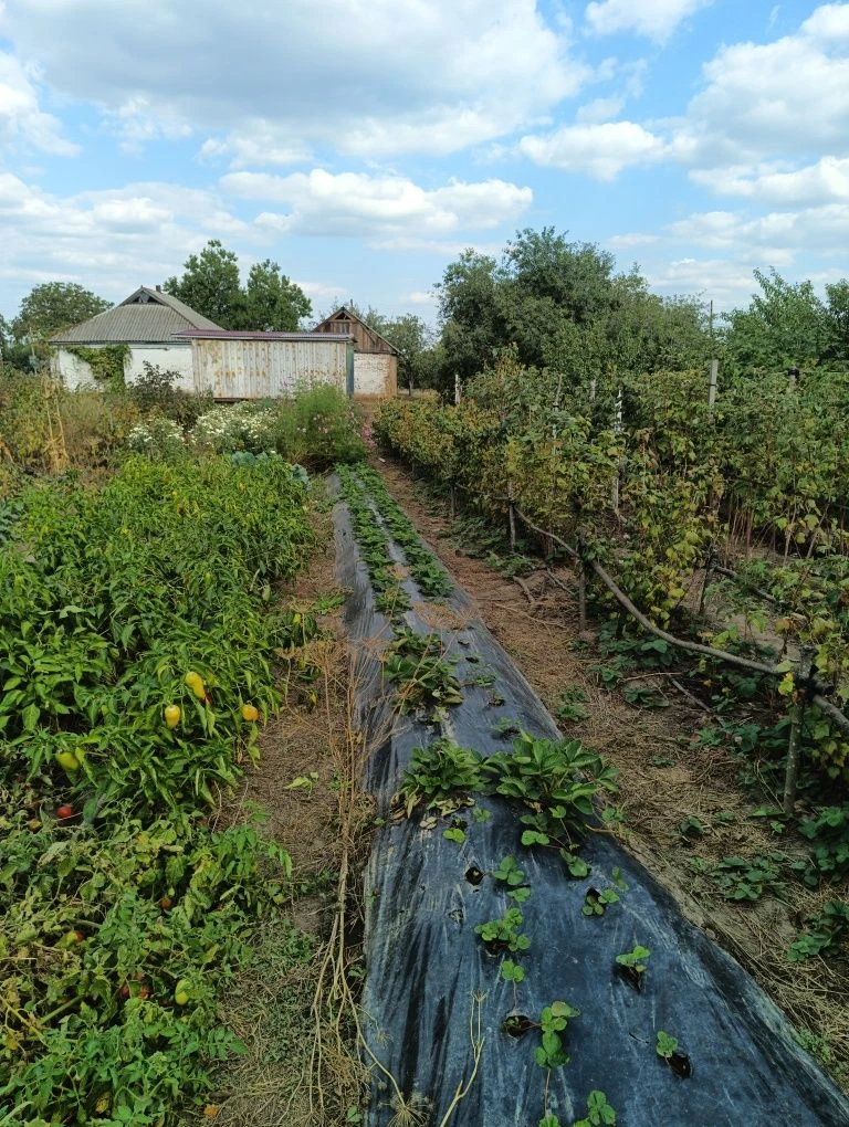 Продам затишний  будинок