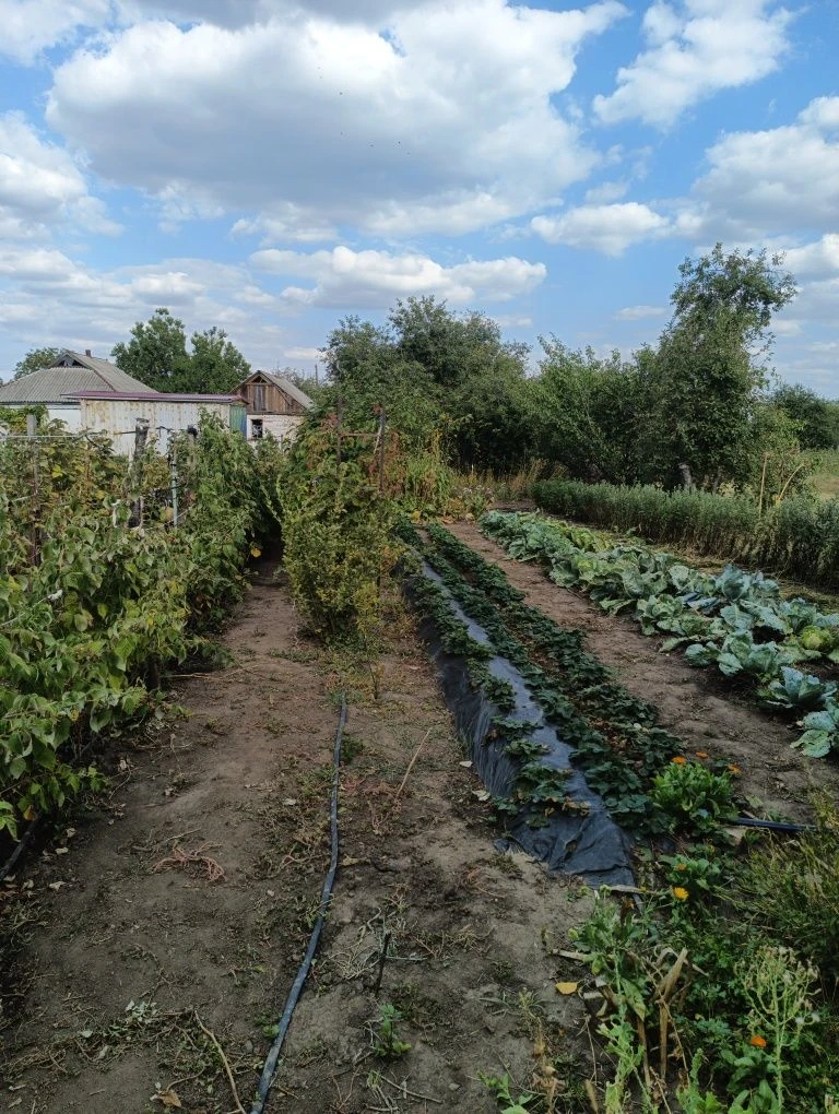 Продам затишний  будинок