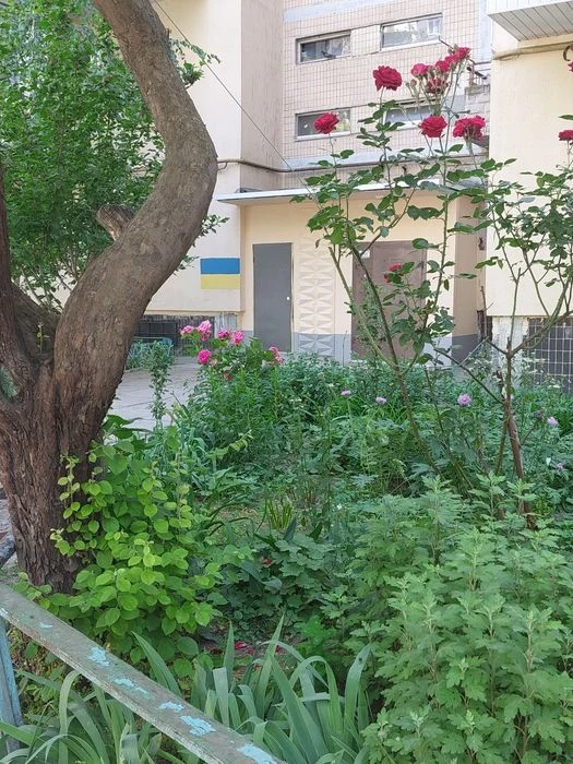 Продам 1 ком квартиру, Таирова/ул Шишкина