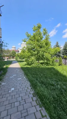2-room apartment with renovation in a new building on Ivasyuka St., Iv