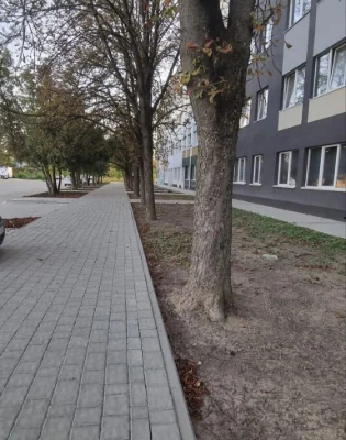 2-к, Сергея Мартына ул., 4, без ремонта