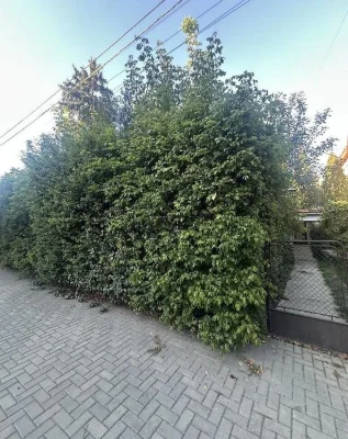 2-к, центр міста. Газове опалення