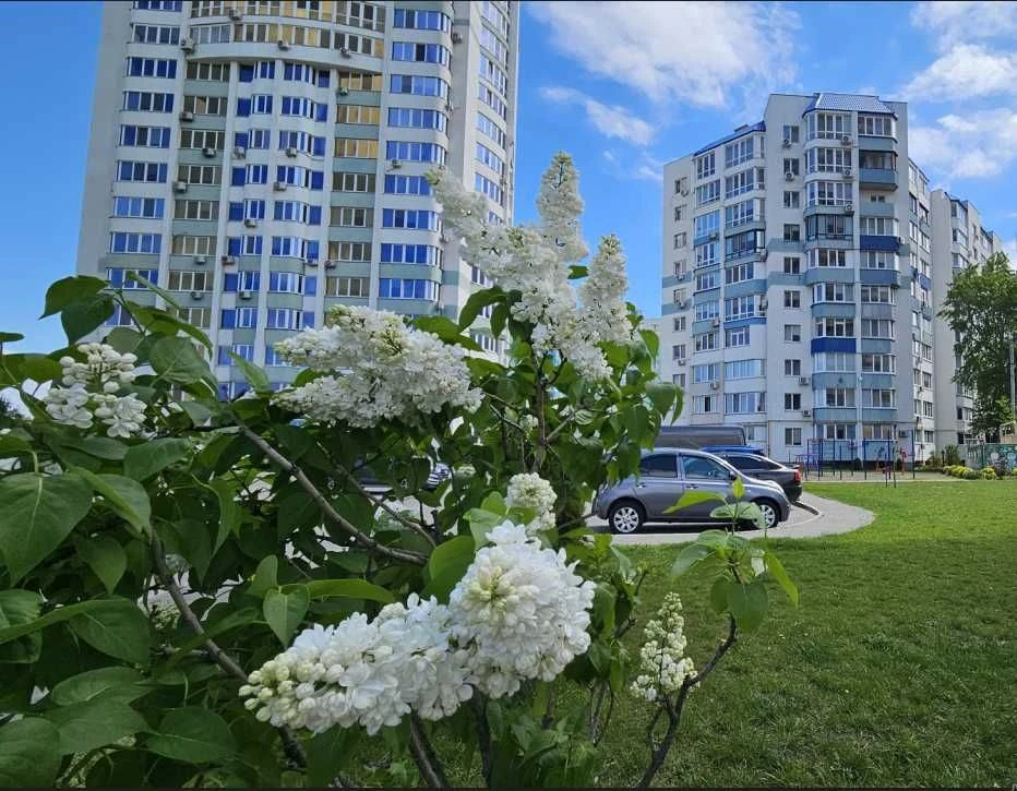 СІМЕЙНА 2кім.кв МРІЇ в СУЧАСНОМУ ЖК Нова Митниця