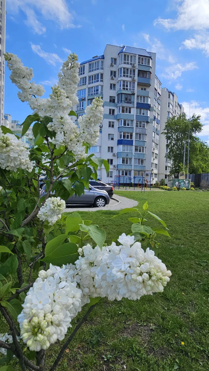 СІМЕЙНА 2кім.кв МРІЇ в СУЧАСНОМУ ЖК Нова Митниця
