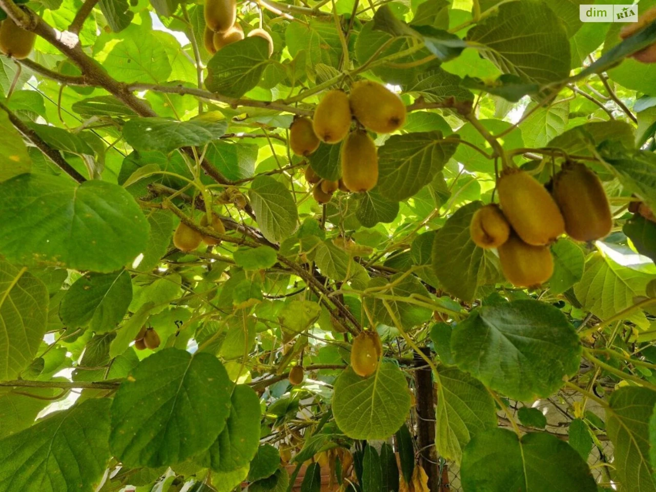 Продажа Часть дома Кривая Балка