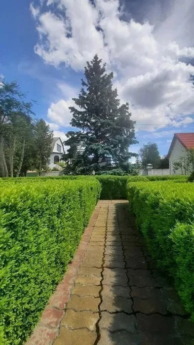 Оренда будинку 220 м², 1-а Озерна вул.