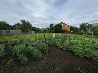 Продаж частини будинку. Окремий двір Розсошенці №20942