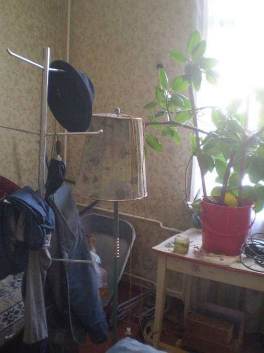 Екобудинок в центрі Житомира від власника частина будинку 75