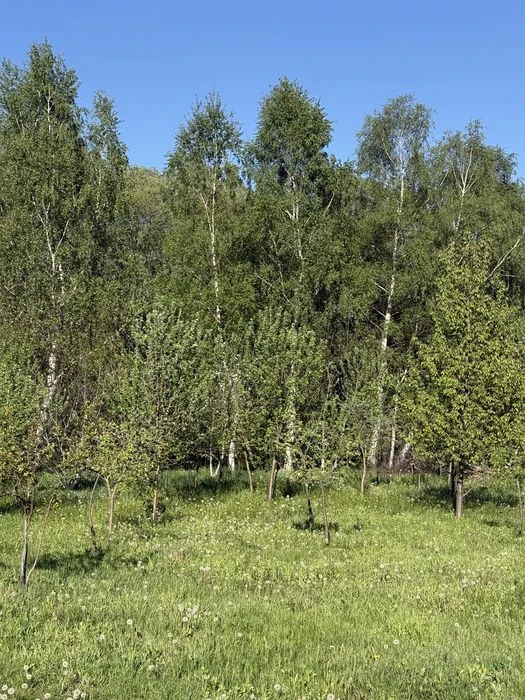 Власний котедж замість тісноі квартри і це все в межах Львов