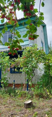 СВОЯ дача з ГРУБОЮв 5 хв від зупинки