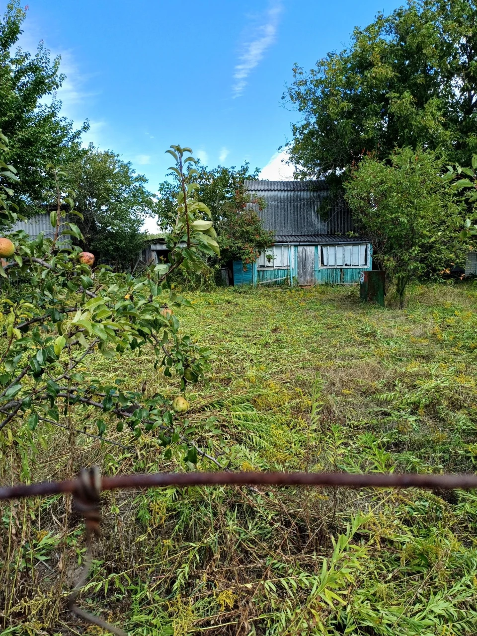 Продам дачу в Березанці.