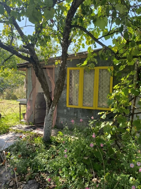 ЦІНУ ЗНИЖЕНО! Чудова доглянута дача. Пролетарський гай. 10 с